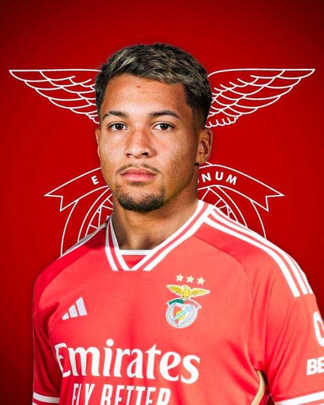 1704288922323090246.jpg 莱昂纳多.jpg